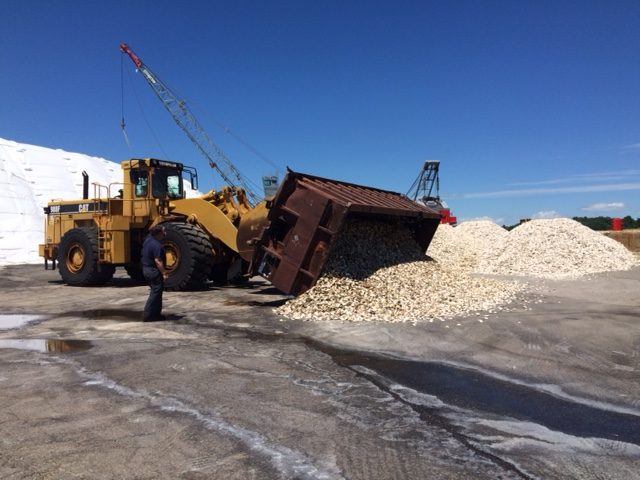 Oyster Restoration CCANH