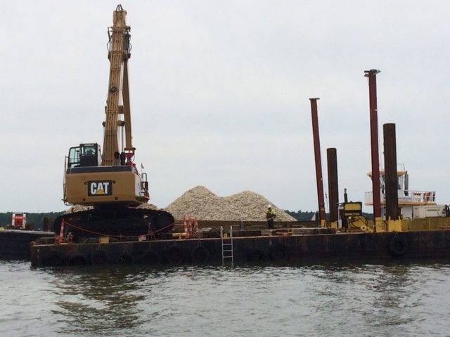 Oyster Restoration CCANH