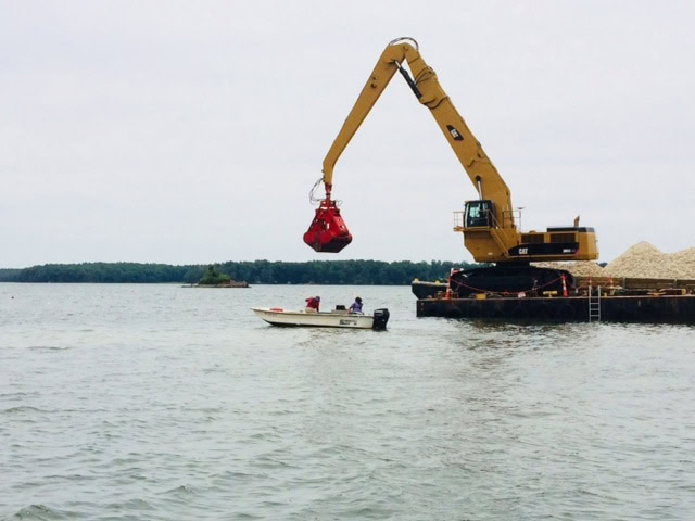 Oyster Restoration CCANH