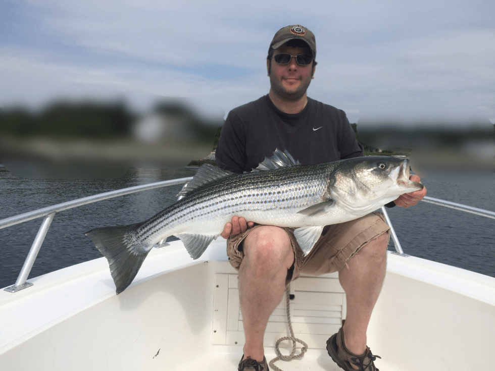 NH Fish and Game's Coastal Striped Bass Angler Survey - Coastal ...