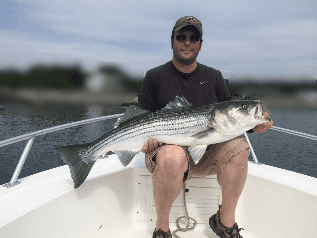 NH Fish and Game's Coastal Striped Bass Angler Survey Coastal