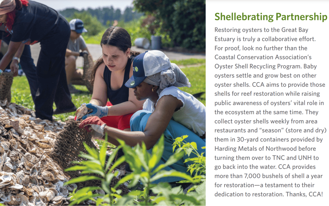 The Nature Conservancy Shellabration Partnership with CCA