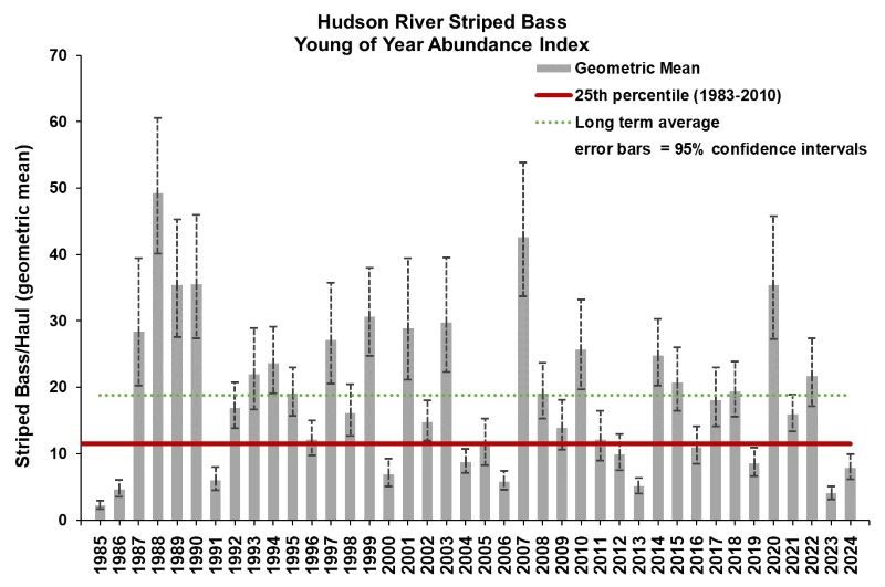 DEC Releases 2024 Striped Bass Young-of-Year Survey Results